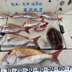 末広丸(熊本) 釣果
