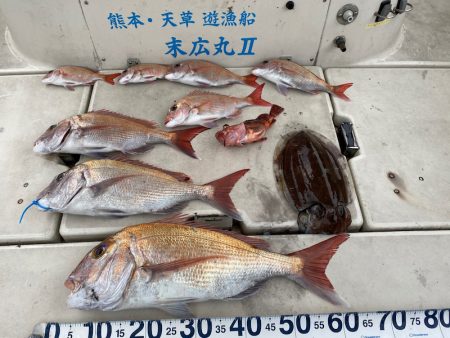 末広丸(熊本) 釣果