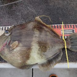 ブルースフィッシングサービス 釣果