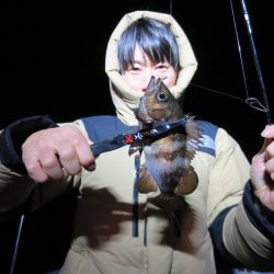 Chase(チェイス) 釣果