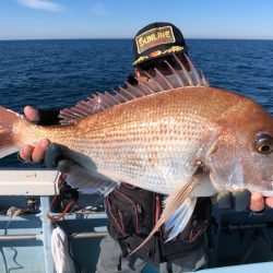 第二八坂丸 釣果