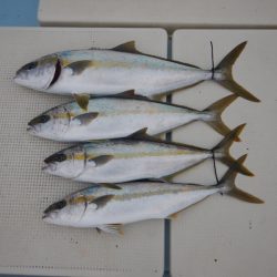 きずなまりん 釣果