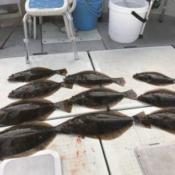 遊漁船メテオ 釣果