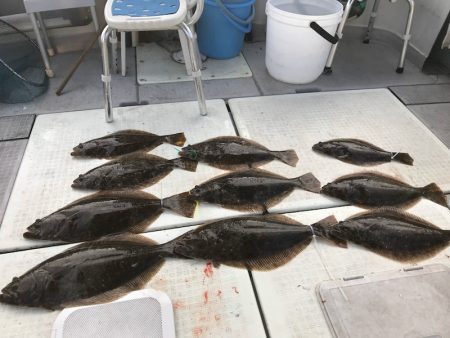 遊漁船メテオ 釣果