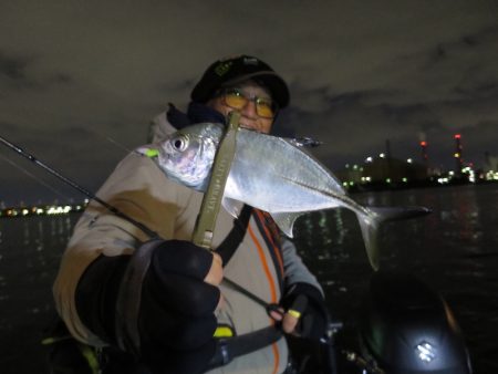 Chase（チェイス） 釣果