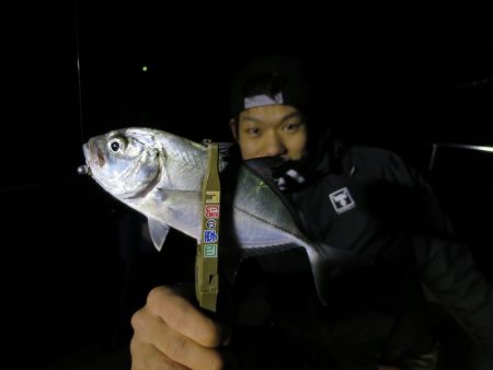 Chase（チェイス） 釣果