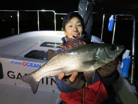 Chase（チェイス） 釣果