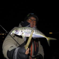 Chase（チェイス） 釣果