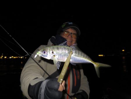 Chase（チェイス） 釣果