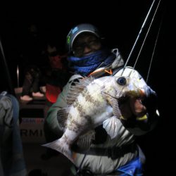 Chase（チェイス） 釣果