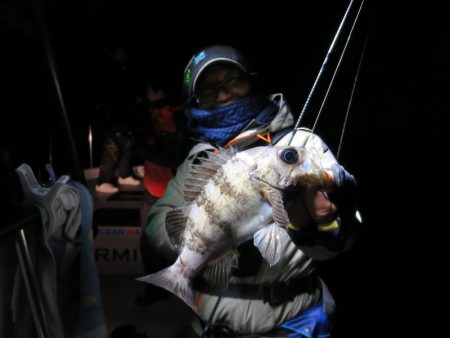 Chase（チェイス） 釣果