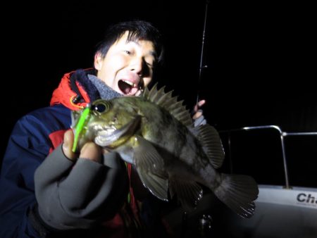 Chase（チェイス） 釣果