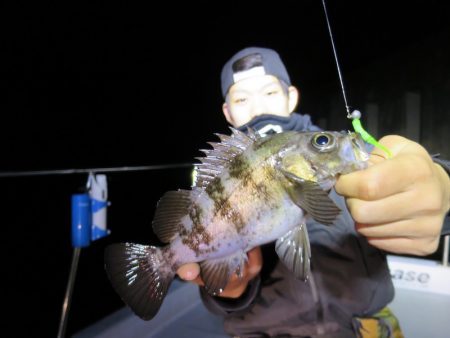 Chase（チェイス） 釣果