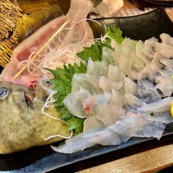 龍神丸(鹿児島) 釣果