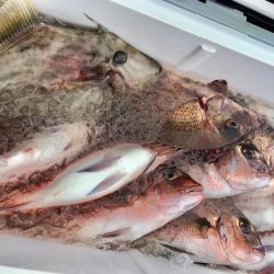 龍神丸(鹿児島) 釣果