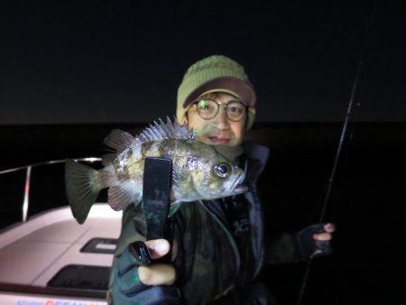 Chase（チェイス） 釣果