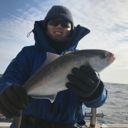 ランスルー 釣果