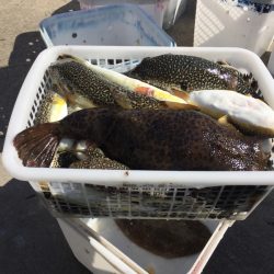 敷嶋丸 釣果