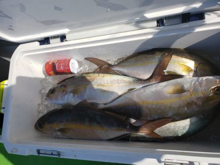 丸万釣船 釣果