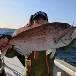 ランスルー 釣果