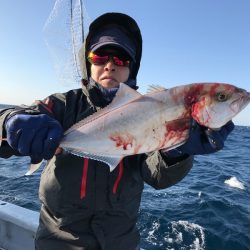 ランスルー 釣果