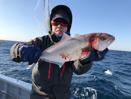 ランスルー 釣果