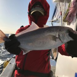 ランスルー 釣果