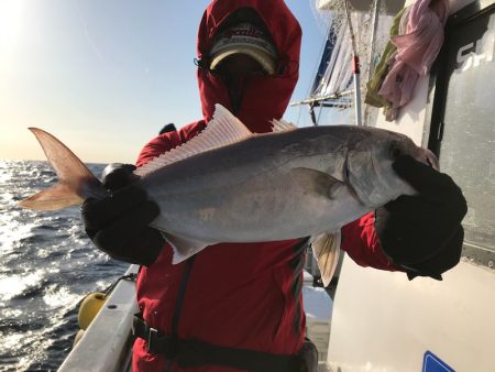 ランスルー 釣果