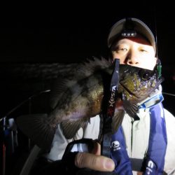 Chase(チェイス) 釣果