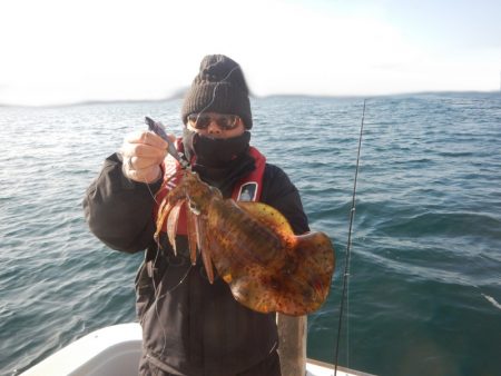 きずなまりん 釣果