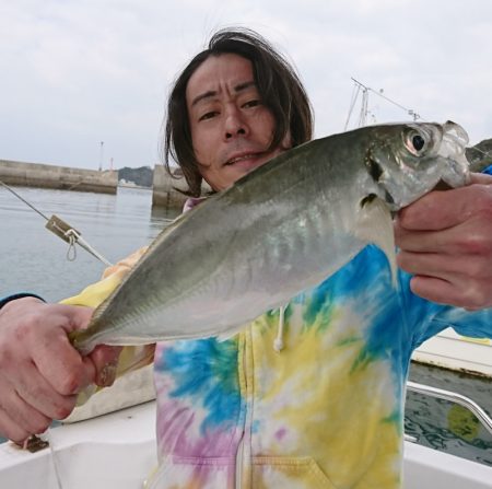 遊漁船 家入 釣果