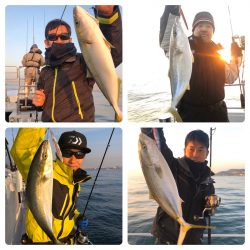 ビッグファイター 釣果