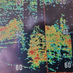 サンマリン 釣果