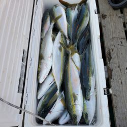 サンマリン 釣果