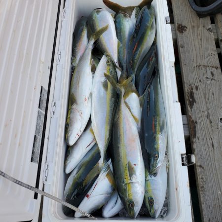 サンマリン 釣果