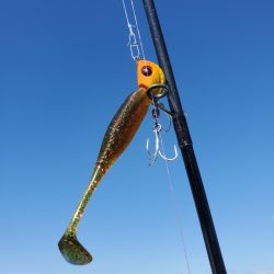 サンマリン 釣果