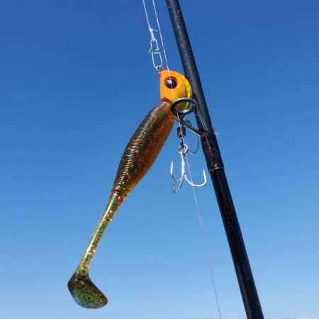 サンマリン 釣果