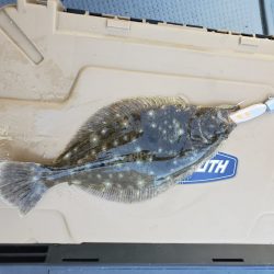 サンマリン 釣果