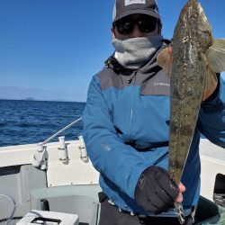 サンマリン 釣果