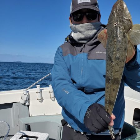 サンマリン 釣果