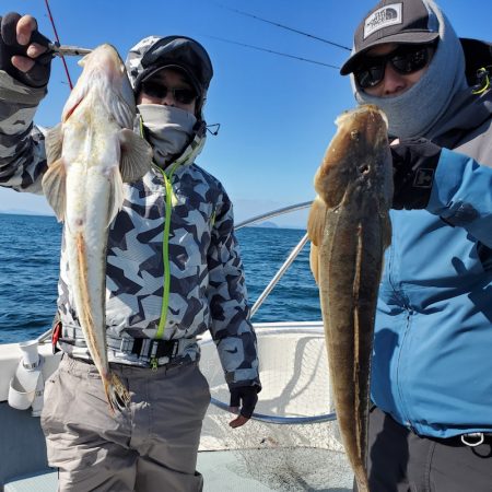 サンマリン 釣果