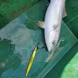 サンマリン 釣果