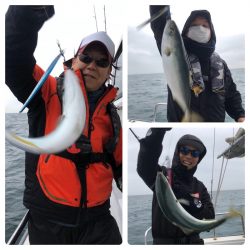 ビッグファイター 釣果