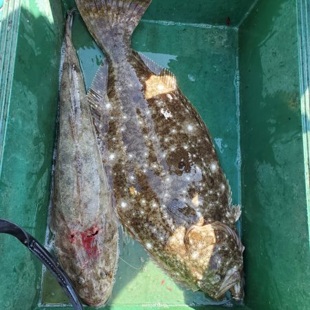 サンマリン 釣果