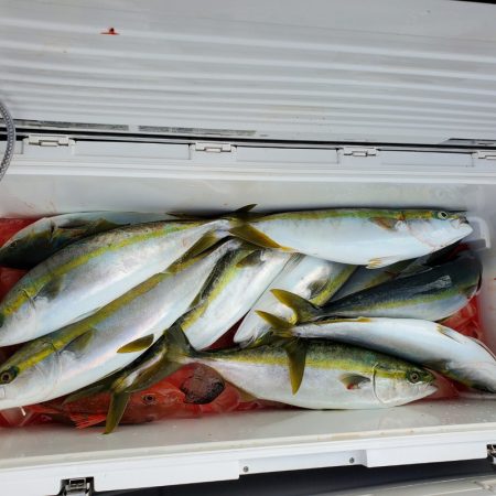 サンマリン 釣果