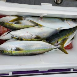 サンマリン 釣果