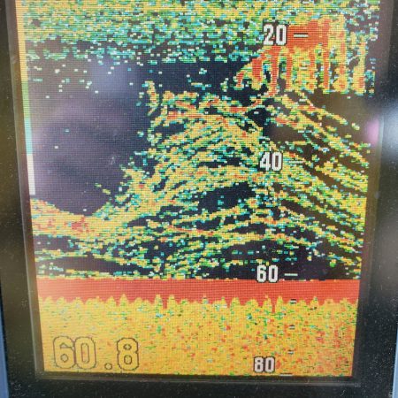 サンマリン 釣果