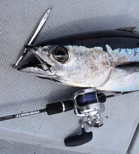 渡船屋たにぐち 釣果