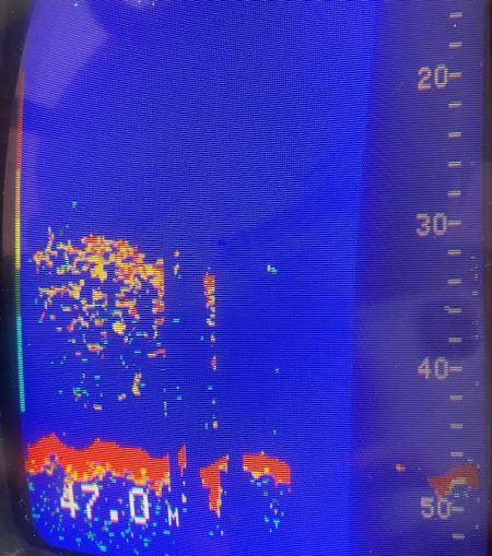 あみや渡船 JIGBOY 釣果