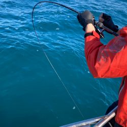 あみや渡船 JIGBOY 釣果